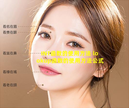 INT函数的使用方法 lookup函数的使用方法公式